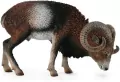 Muflon europejski - tantis.pl