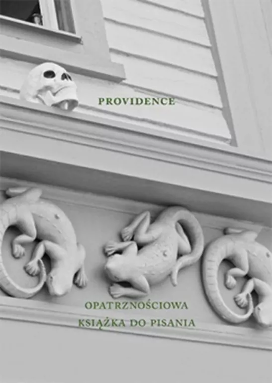 Providence. Opatrznościowa książka do pisania - tantis.pl