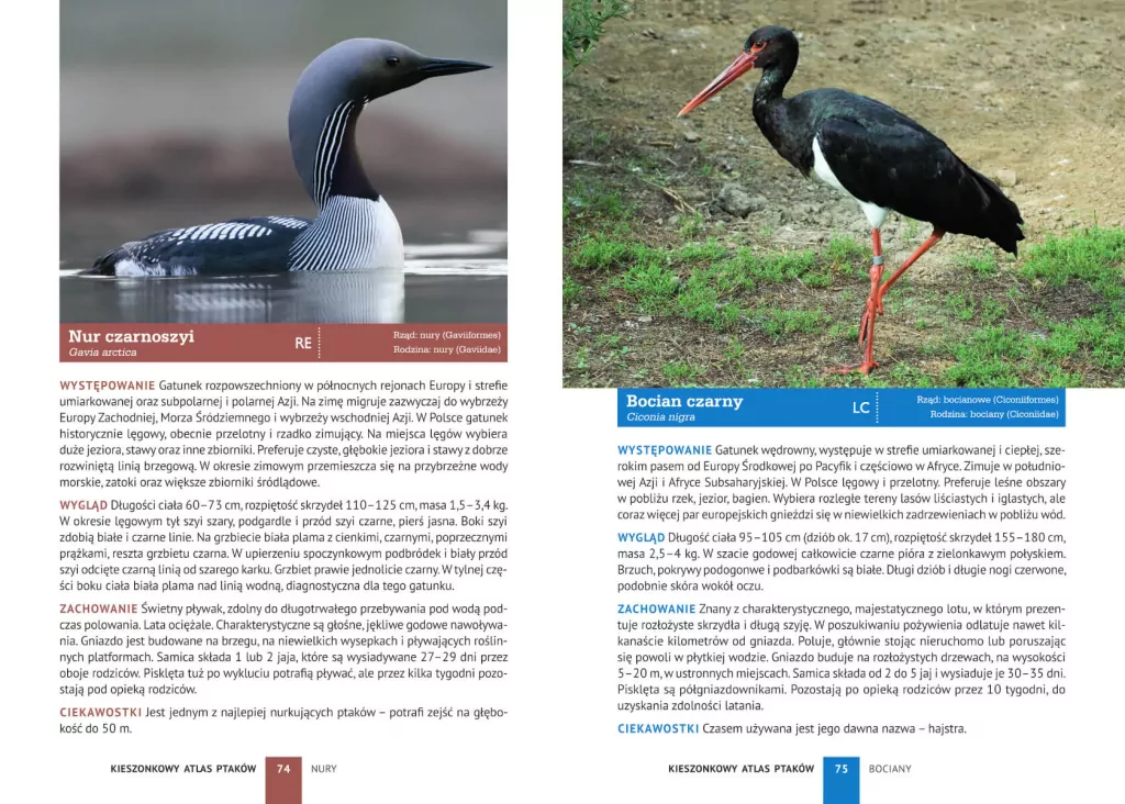 Kieszonkowy atlas ptaków. 180 gatunków - tantis.pl
