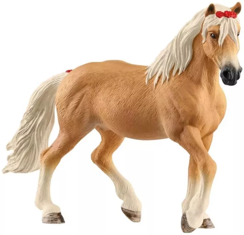 Klacz rasy Haflinger 13950 - tantis.pl