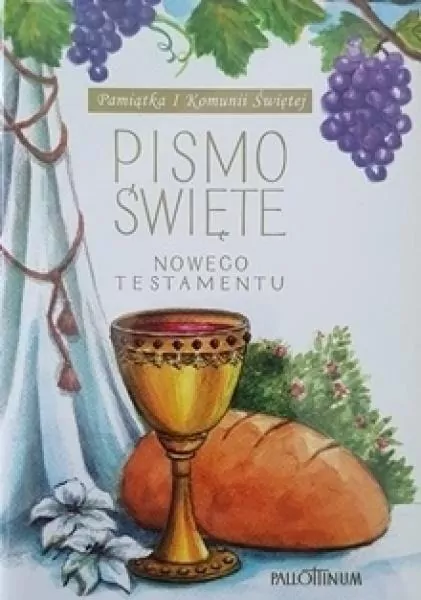 Pismo Święte. Nowy Testament. Małe - tantis.pl