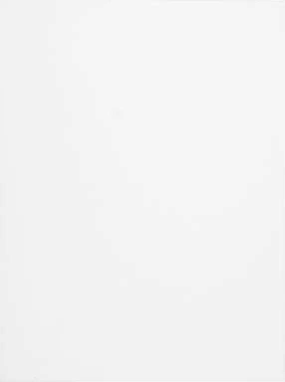 Starpak. Podobrazie 30x40cm - tantis.pl