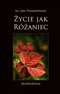 Życie jak Różaniec. Rozważania - tantis.pl