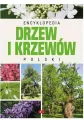 Encyklopedia drzew i krzewów Polski - tantis.pl