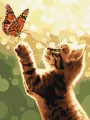 Malowanie po numerach. Kot i motyl 30x40cm - tantis.pl