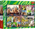 Puzzle 4x250 Zabawne zwierzaki TREFL - tantis.pl