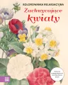 Kolorowanka relaksacyjna. Zachwycające kwiaty - tantis.pl