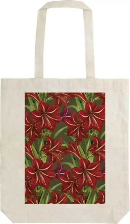 Torba bawełniana STBAG 66 Gwiazda Betlejemska BN - tantis.pl