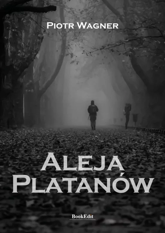 Aleja Platanów - tantis.pl