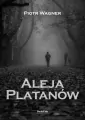 Aleja Platanów - tantis.pl
