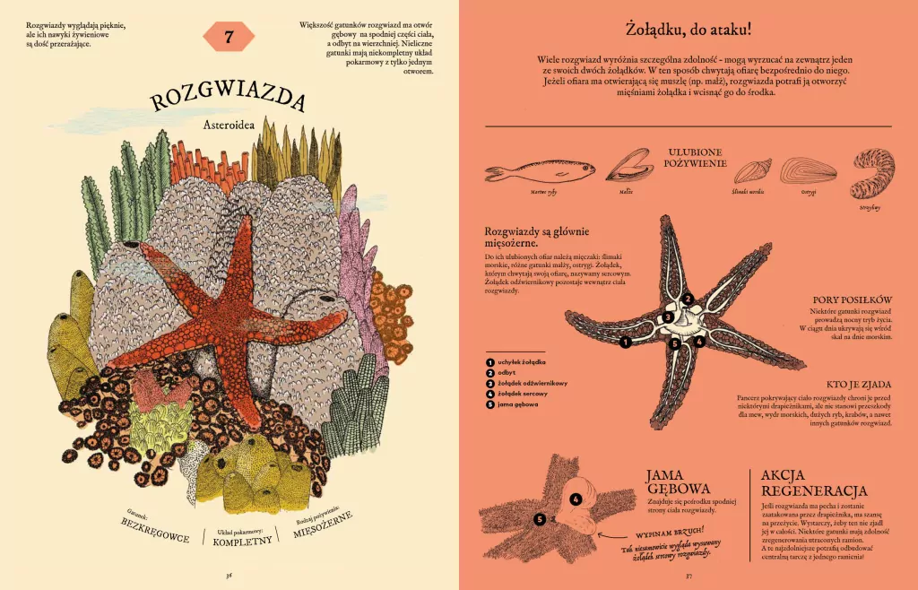 Jak to strawić? Tajemnice układu pokarmowego zwierząt - tantis.pl