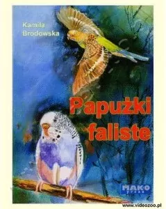 Papużki faliste - tantis.pl