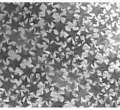 Karton holograficzny srebrny gwiazdy 25x35cm 5 ark - tantis.pl