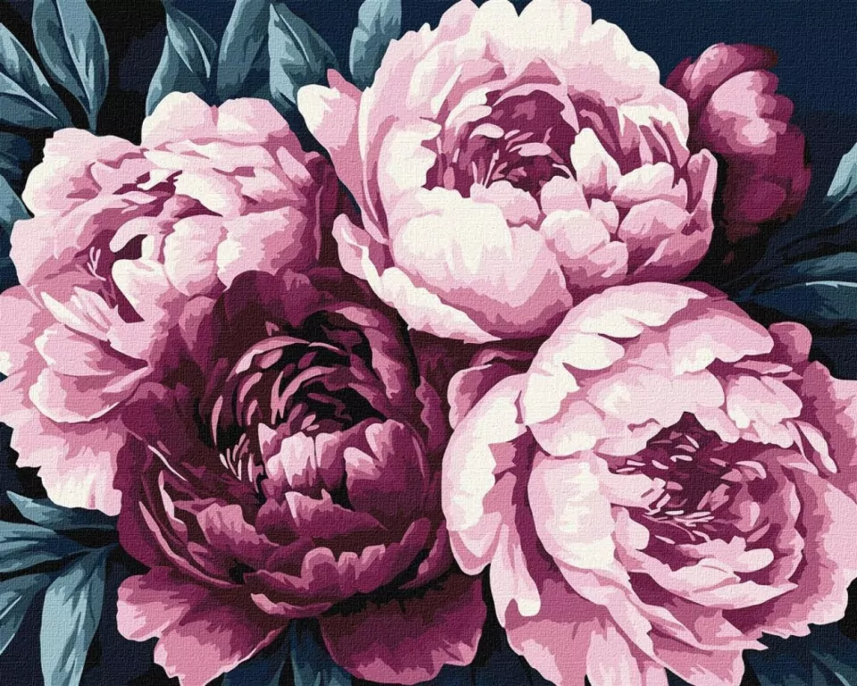 Malowania po numerach - Płatki kwiatów 40x50cm - tantis.pl