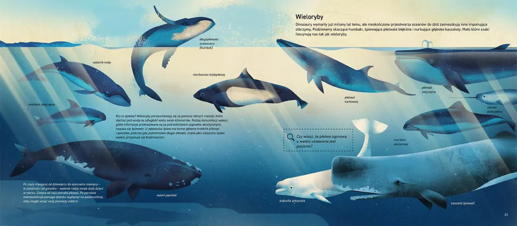Świat mórz i oceanów - tantis.pl