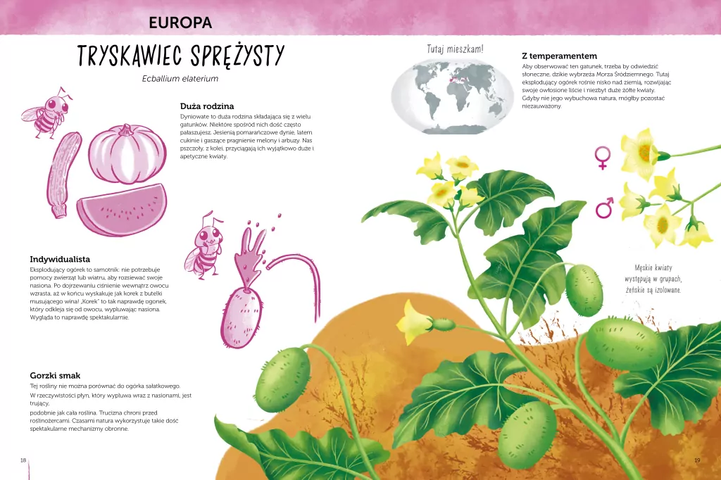Sekretne życie roślin. Atlas bioróżnorodności - tantis.pl