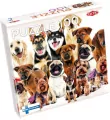 Puzzle 100 Group of Cute Dogs - tantis.pl