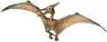 Pteranodon - tantis.pl