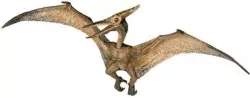 Pteranodon