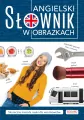 Angielski. Słownik w obrazkach - tantis.pl