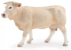 Krowa Blonde d'Aquitaine