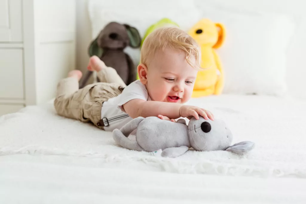 Piesek Tulimy szary 28cm - tantis.pl