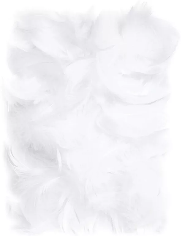 Piórka 5-12cm. Białe 10g - tantis.pl