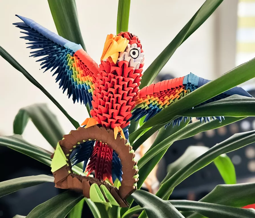 Origami 3D papuga/parrot - tantis.pl