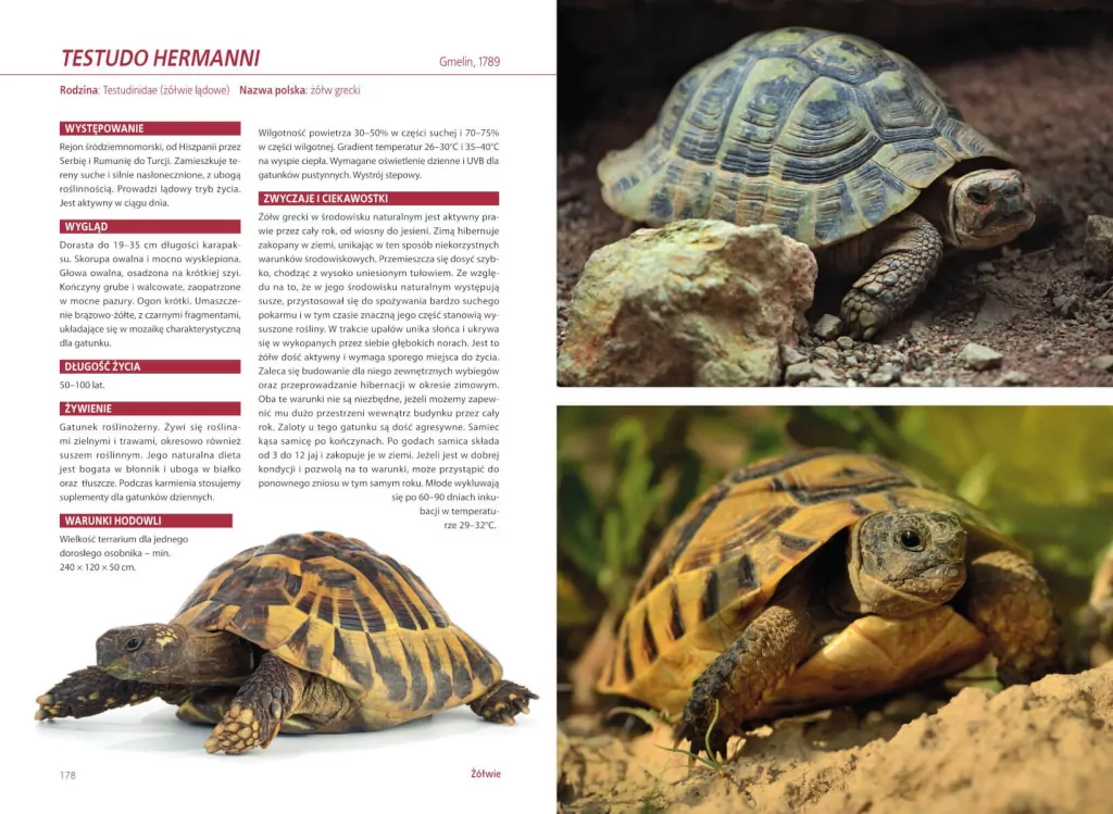 Atlas gadów hodowlanych - tantis.pl