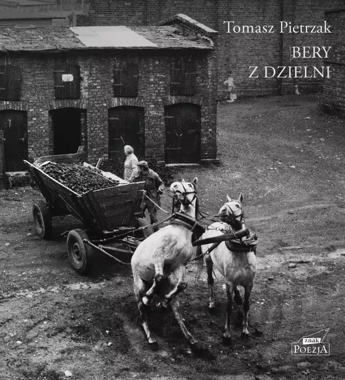 Bery z dzielni - tantis.pl
