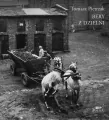 Bery z dzielni - tantis.pl