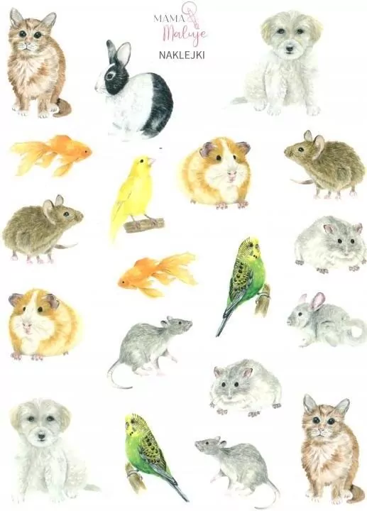 Naklejki Zwierzęta domowe - tantis.pl