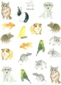 Naklejki Zwierzęta domowe - tantis.pl