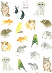 Naklejki Zwierzęta domowe