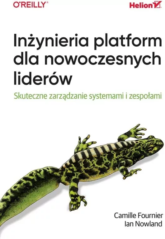 Inżynieria platform dla nowoczesnych liderów. Skut - tantis.pl