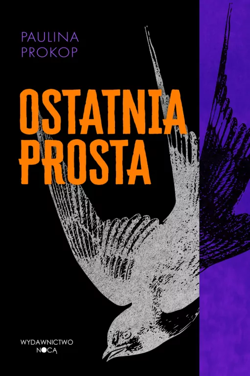 Ostatnia prosta - tantis.pl