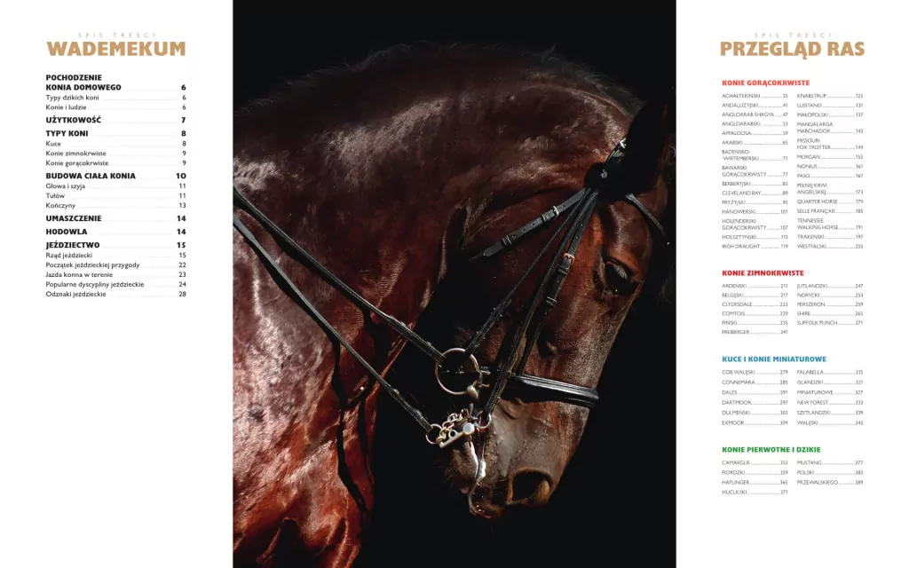 Konie. Pochodzenie, rasy, cechy - tantis.pl