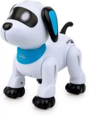 Psiak Akrobata Junior