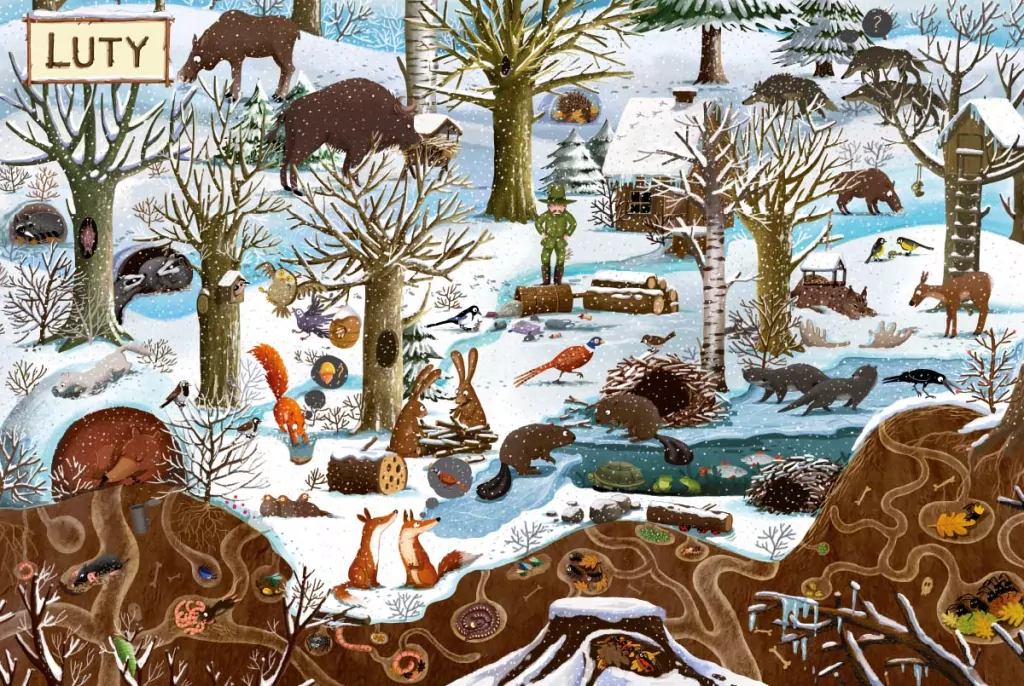 Rok w lesie - tantis.pl