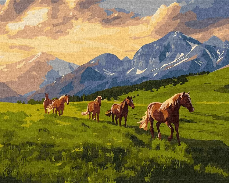 Malowanie po numerach. Wolny duchem 40x50cm - tantis.pl