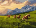Malowanie po numerach. Wolny duchem 40x50cm - tantis.pl