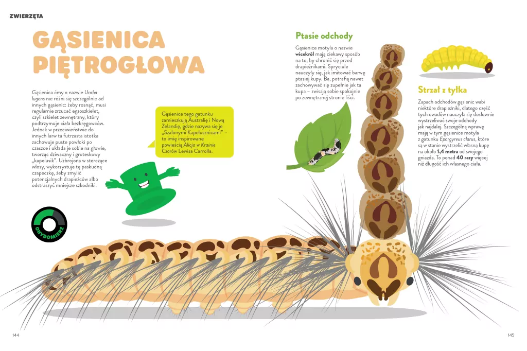 Fuuj, ohyda! - tantis.pl