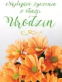 Karnet. Najlepsze życzenia z okazji urodzin - tantis.pl
