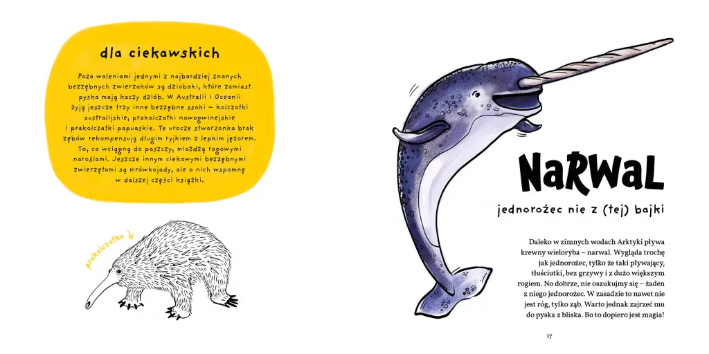 Zęby, ciosy i siekacze - tantis.pl