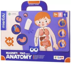 Magnetyczna podkładka - Anatomia człowieka