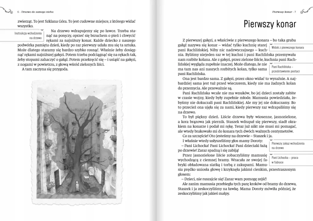 Drzewo do samego nieba - tantis.pl