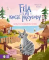 Fela i jej kocie przygody. Kotka ze słonecznych... - tantis.pl