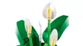 LEGO®. Botanical Collection. Skrzydłokwiat. 11504 - tantis.pl