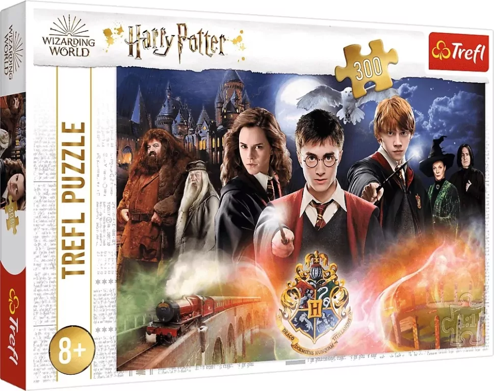 Tajemniczy Harry Potter 23001. Puzzle 300 elementów - tantis.pl