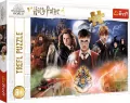 Tajemniczy Harry Potter 23001. Puzzle 300 elementów - tantis.pl